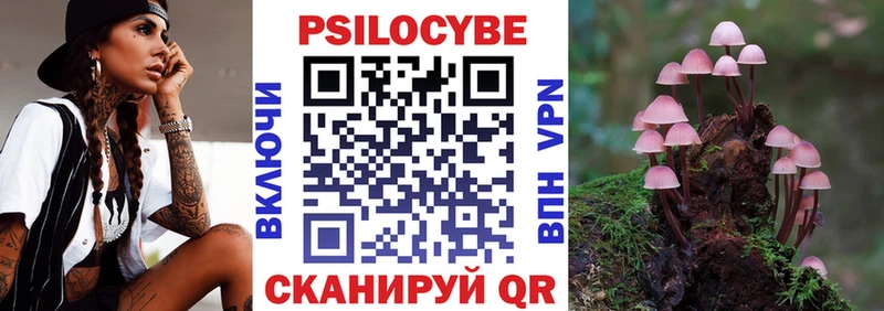 купить сайты Волгодонск Псилоцибиновые грибы GOLDEN TEACHER
