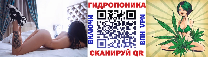 Бошки марихуана THC 21% Волгодонск